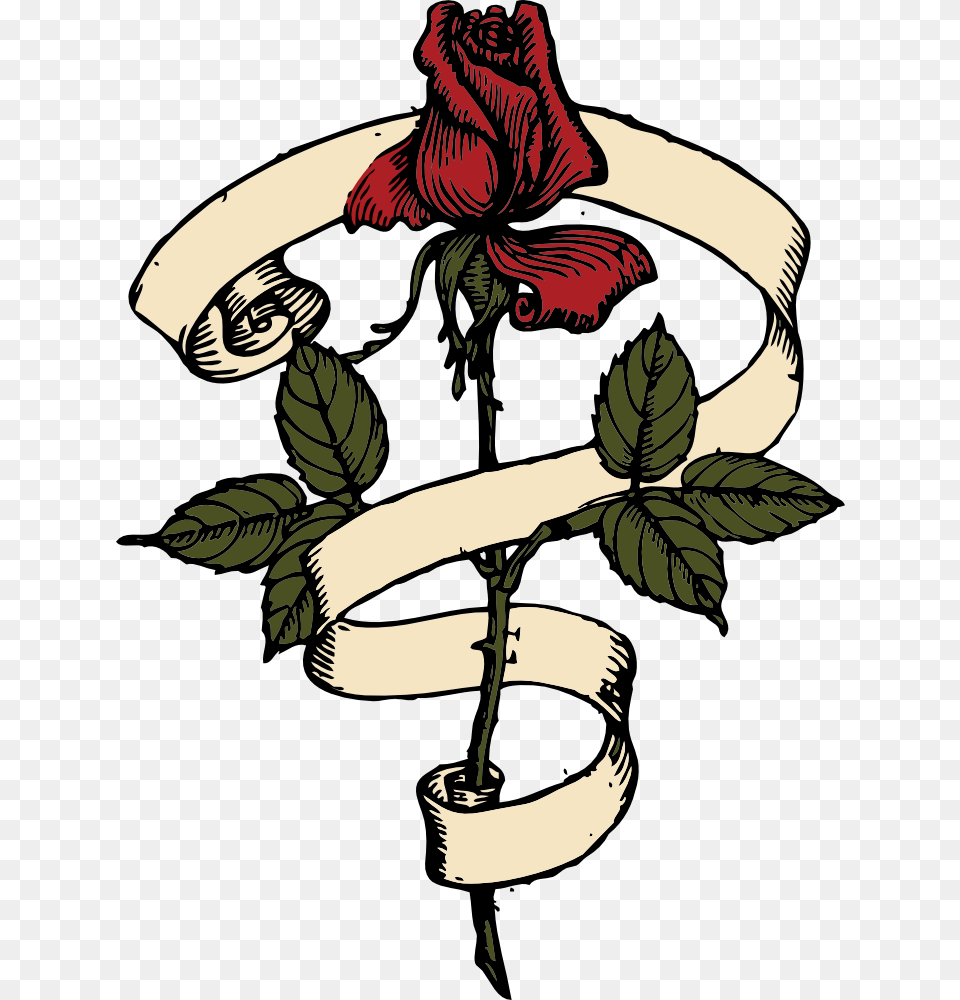 Scroll Clip Art, Flower, Plant, Rose, Baby Free Png Download