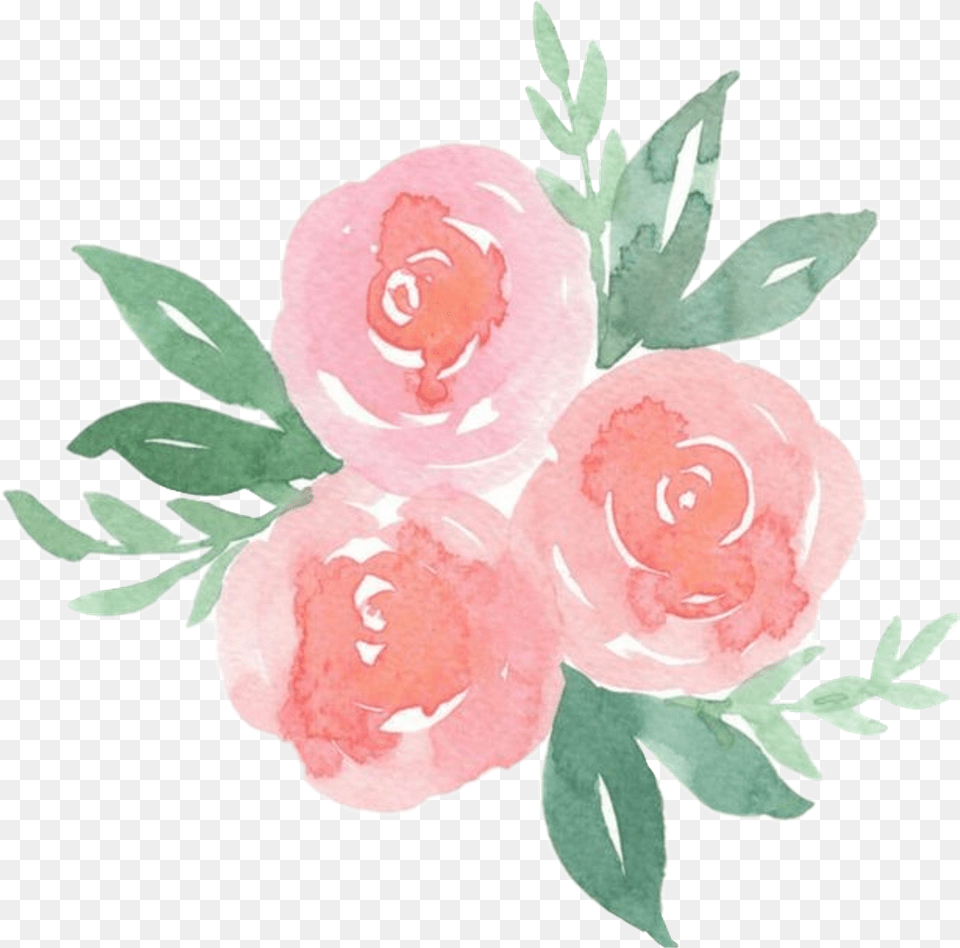 Scrose Rose Cute Aesthetic Pastel Do Watercolor Flowers, Flower, Plant, Art, Floral Design Free Png