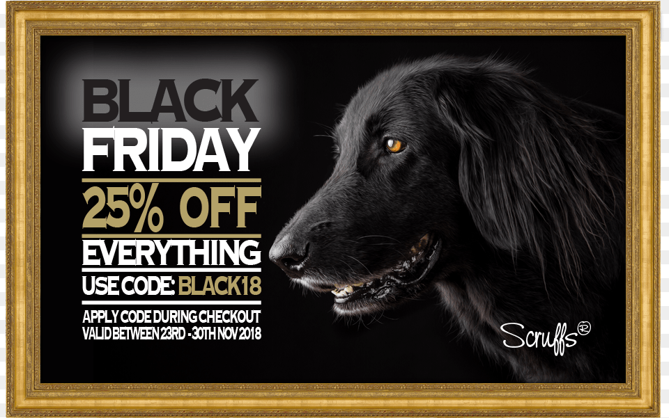 Scruffs Black Friday Companion Dog, Advertisement, Poster, Animal, Canine Png Image
