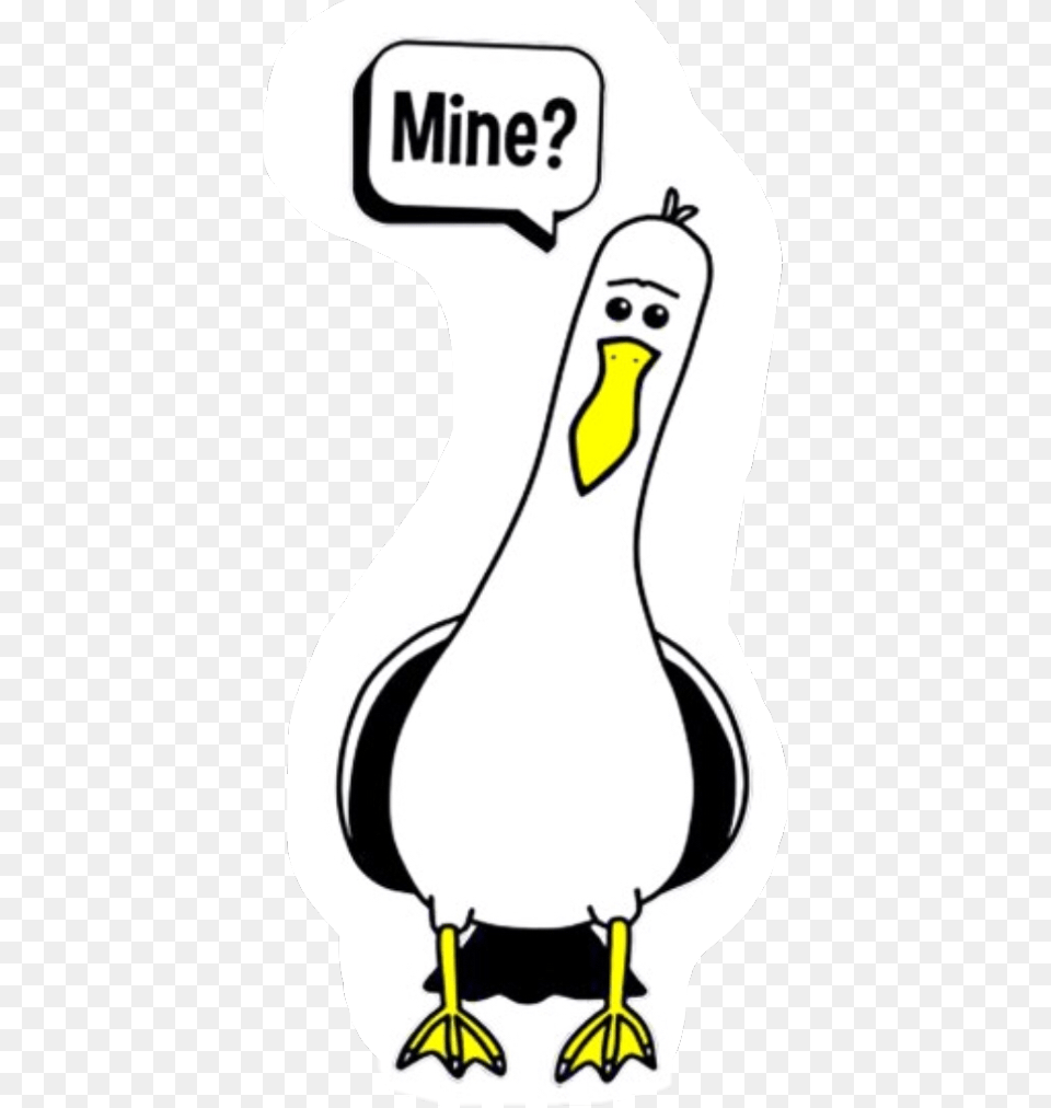 Scseagull Seagull Nemo Disney Mine Freetoedit Seagulls Meme, Animal, Bird, Penguin, Booby Free Png Download