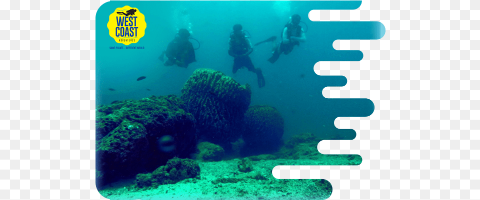 Scuba Diver Certification Scuba Dive At Murudeshwar, Water, Sport, Scuba Diving, Person Free Png