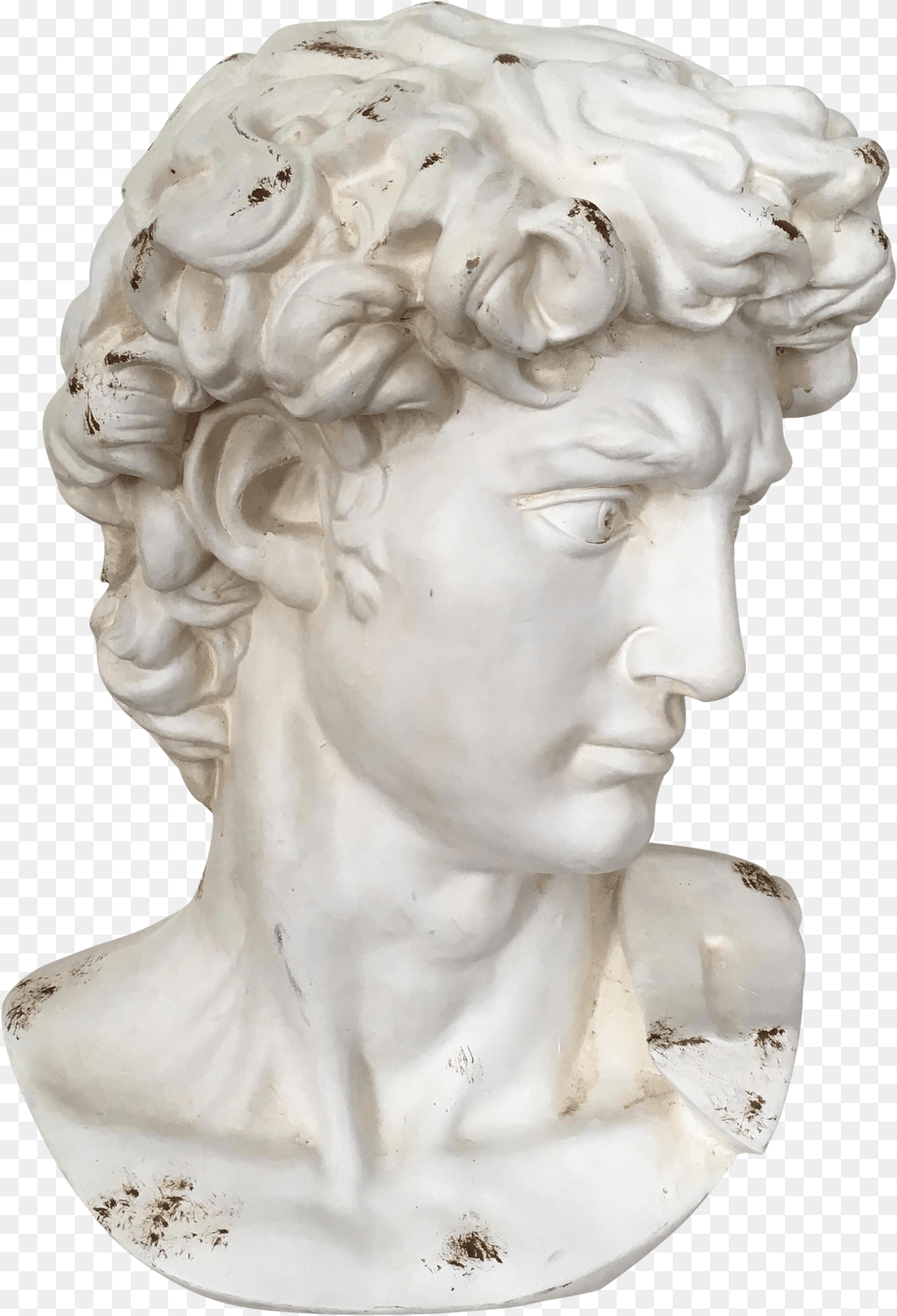 Sculptural Drawing David Statue Face Jpg Transparent Statue Of David Head, Art, Person, Sculpture Free Png