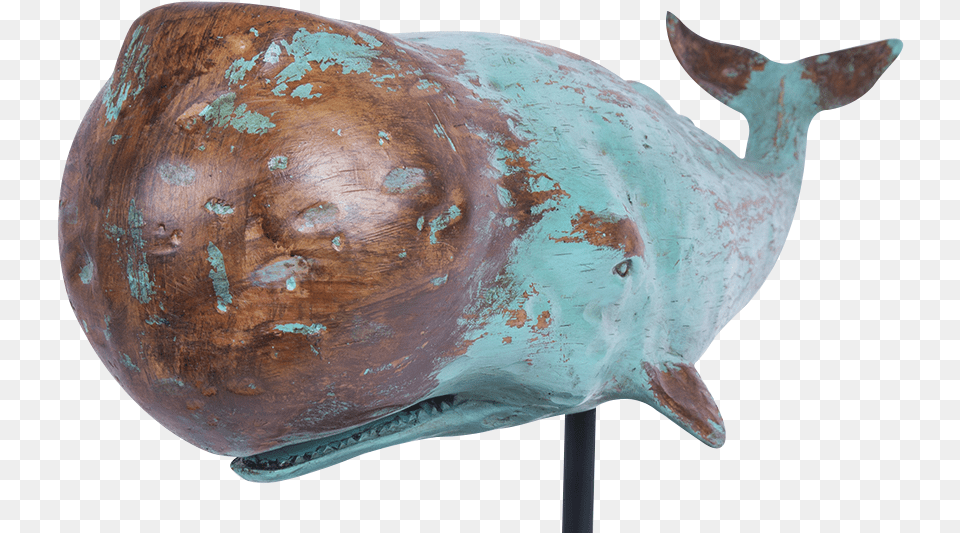 Sculpture Batela, Animal, Fish, Sea Life, Shark Free Transparent Png