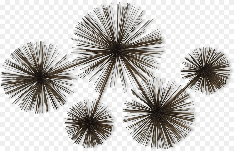 Sculpture Murale Laiton Curtis Jere Pom Pom Sea Urchin Fireworks, Chandelier, Lamp, Home Decor Free Png Download