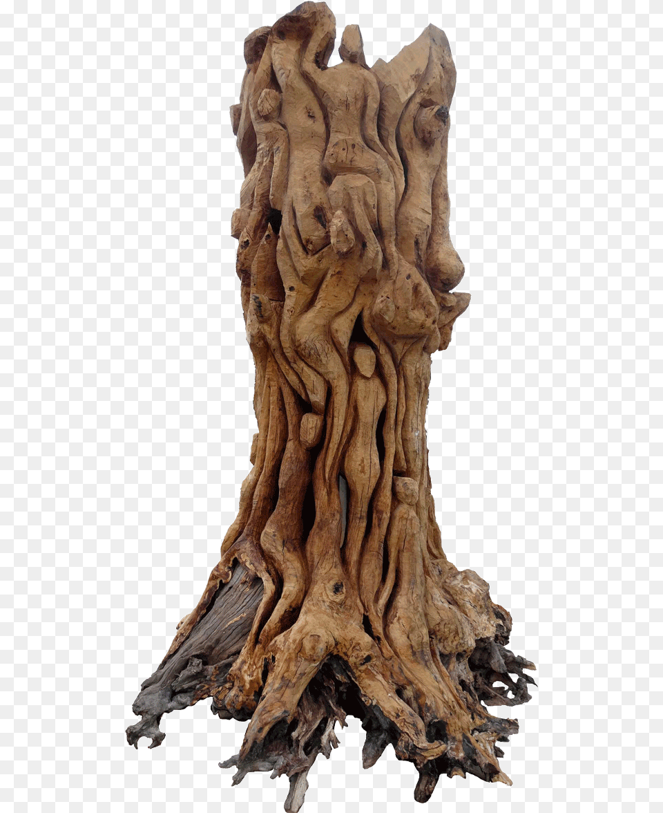 Sculpture Of Tree Roots, Plant, Wood, Art, Person Free Png