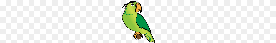 Scurvy Pirate Clip Art, Animal, Beak, Bird, Parakeet Free Png Download