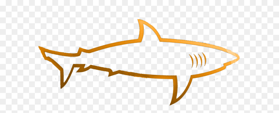 Sd Sharks Ball Club, Animal, Sea Life, Fish, Invertebrate Png