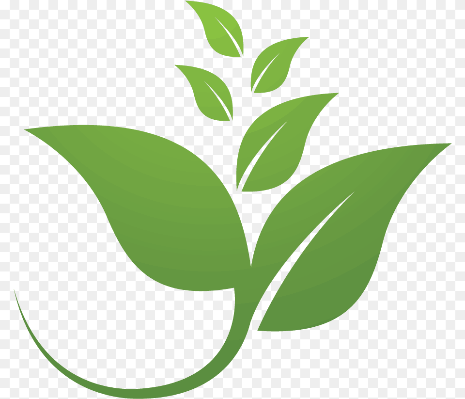 Sda Icon Experience, Green, Herbal, Herbs, Leaf Free Png