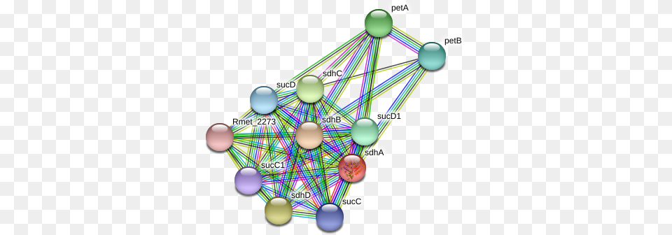 Sdha Protein Circle, Sphere, Disk, Network Png Image