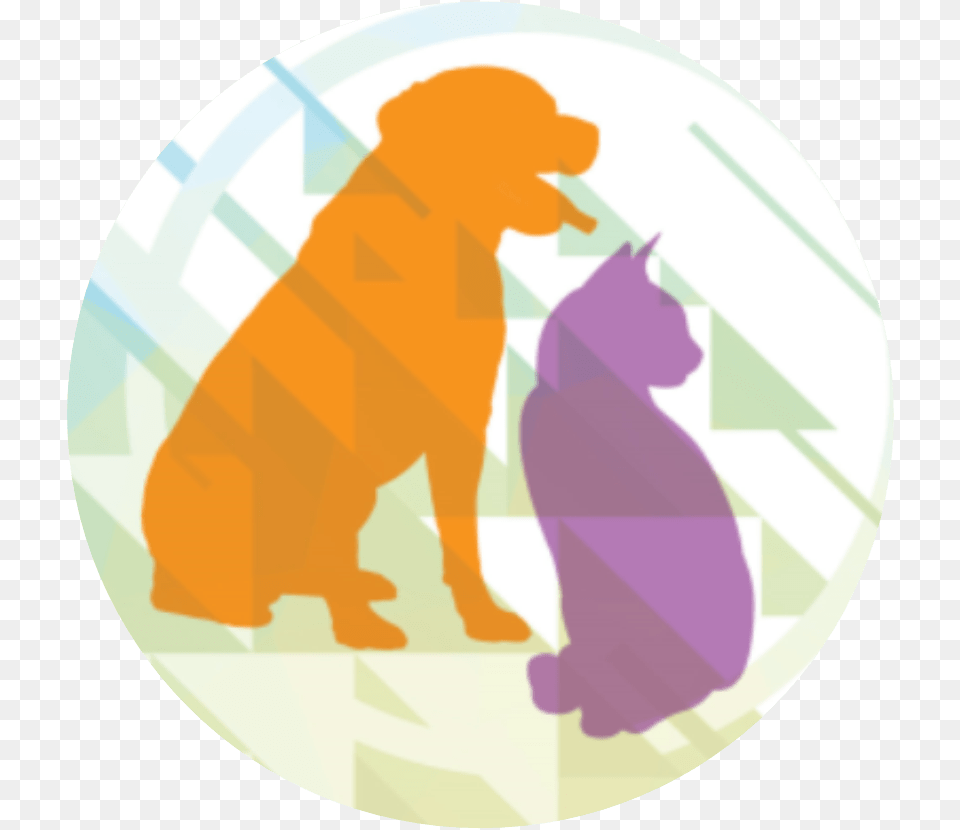 Sdma Dogcat Relationship, Baby, Person, Animal, Cat Free Png Download