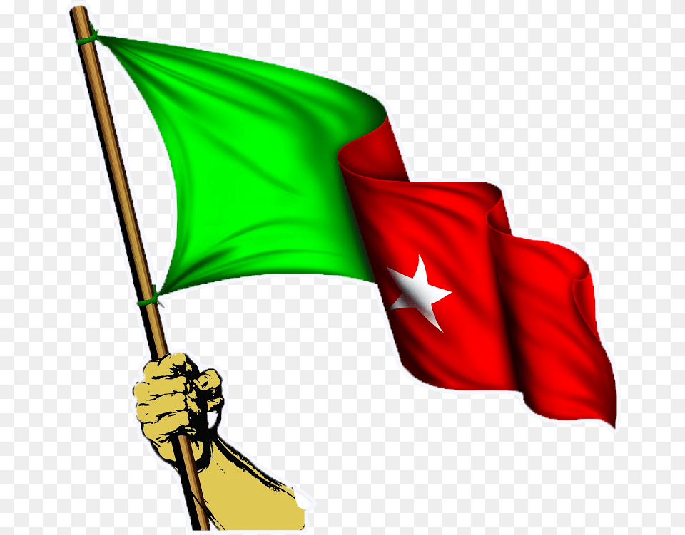 Sdpi Flag Wite Stroke Sdpi Flag Free Transparent Png