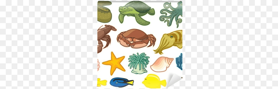 Sea, Animal, Sea Life, Food, Seafood Free Transparent Png