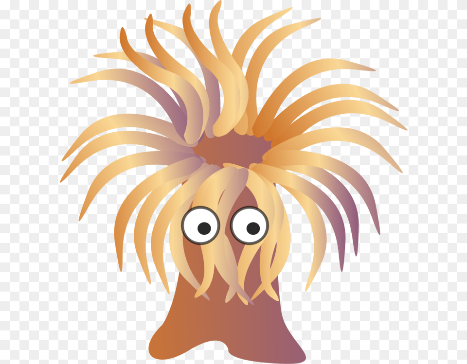 Sea Anemone Clipart, Animal, Invertebrate, Sea Anemone, Sea Life Free Png