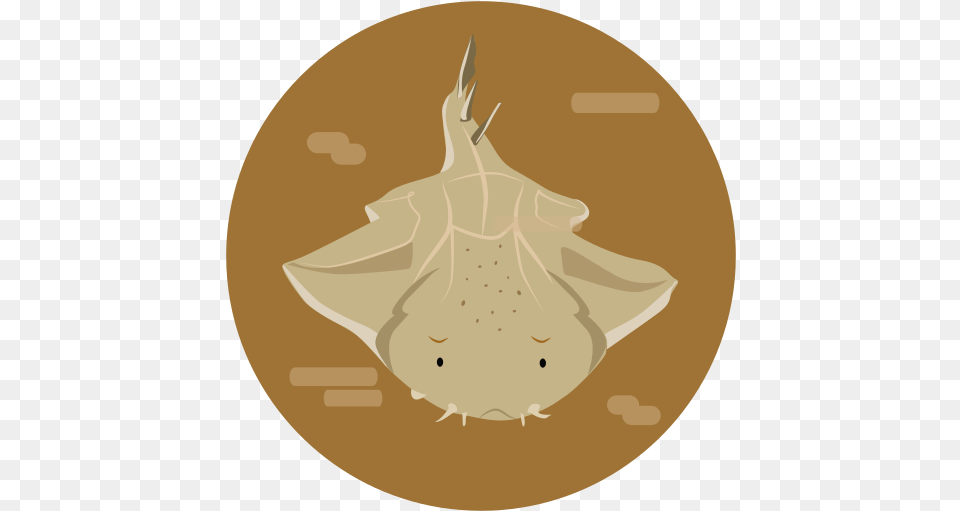 Sea Animal Fish Squatina Angelshark Illustration, Manta Ray, Sea Life, Shark Free Png