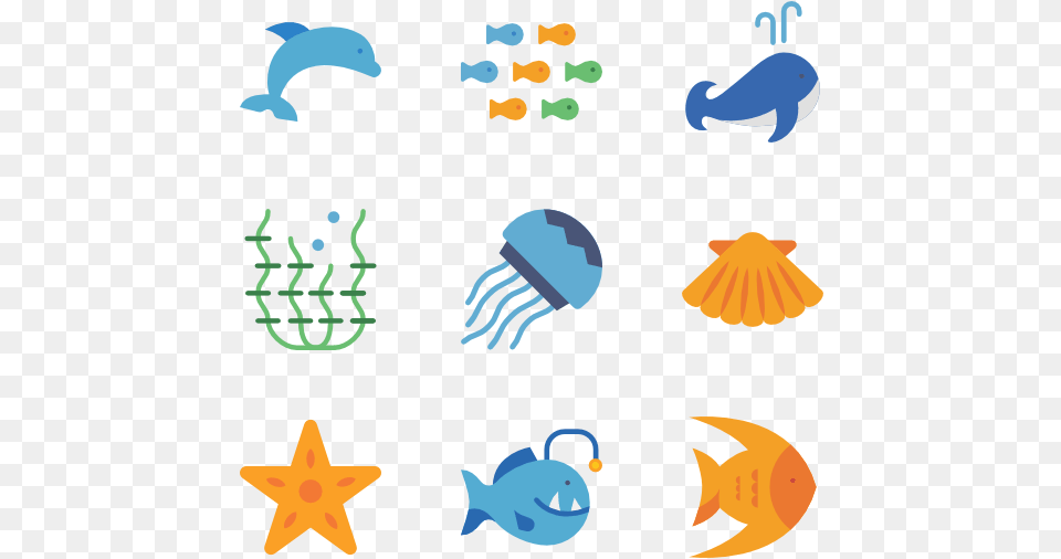 Sea Animal Icon, Sea Life, Fish, Baby, Person Png Image