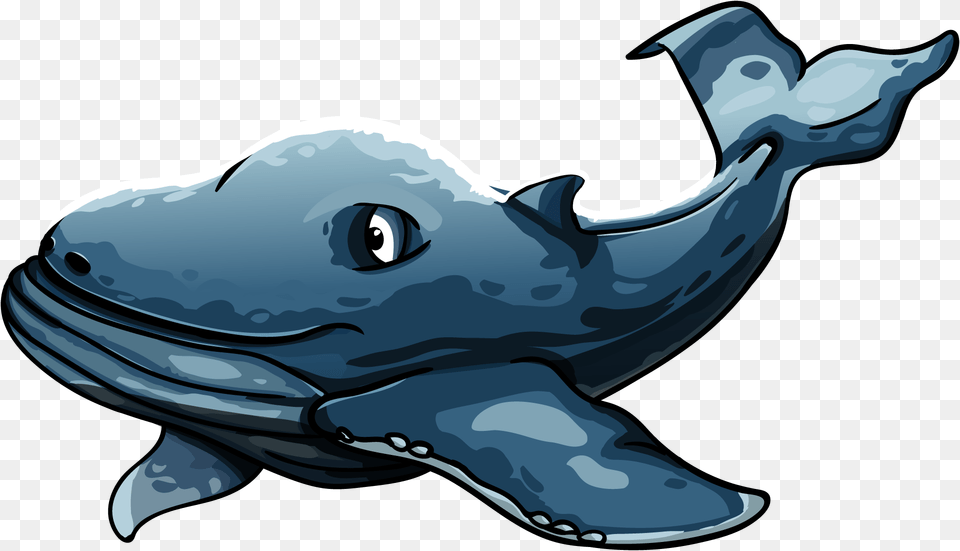 Sea Animals Animals Whale Whales, Animal, Mammal, Sea Life, Fish Free Png Download