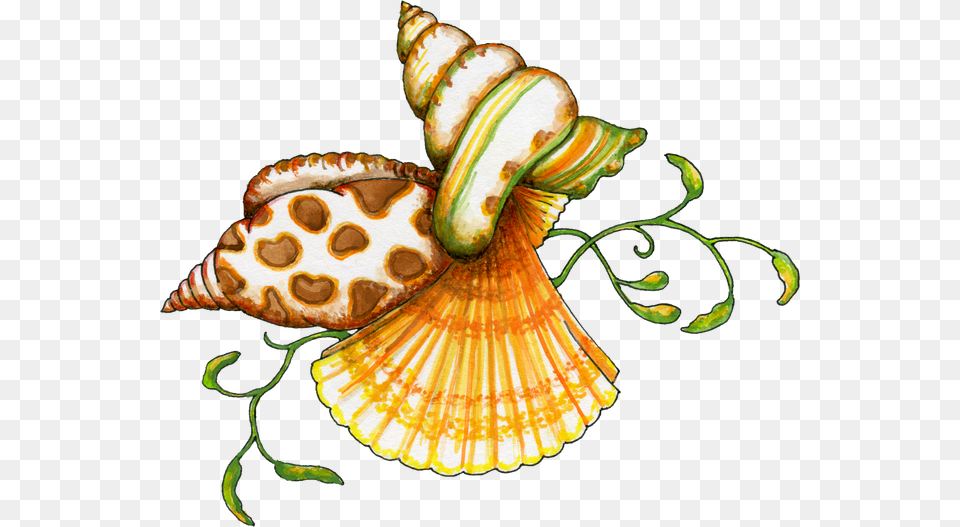 Sea Art Paint Shop Sea Creatures Painted Shells Sea Shells Clip Art, Animal, Invertebrate, Sea Life, Seashell Free Png Download