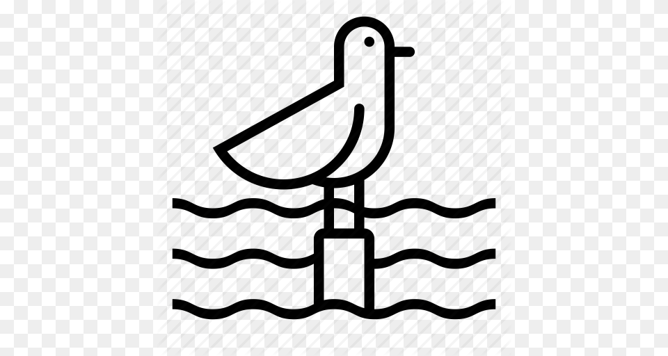 Sea Bird Clipart Scavenger, Boat, Furniture, Sailboat, Transportation Free Transparent Png