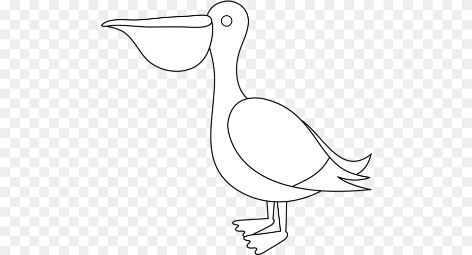 Sea Bird Outline 5 Pelican Drawing For Kids, Animal, Waterfowl Png