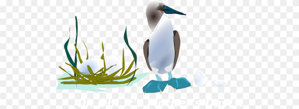 Sea Bird With Nest Clip Art, Animal, Booby, Smoke Pipe Free Transparent Png