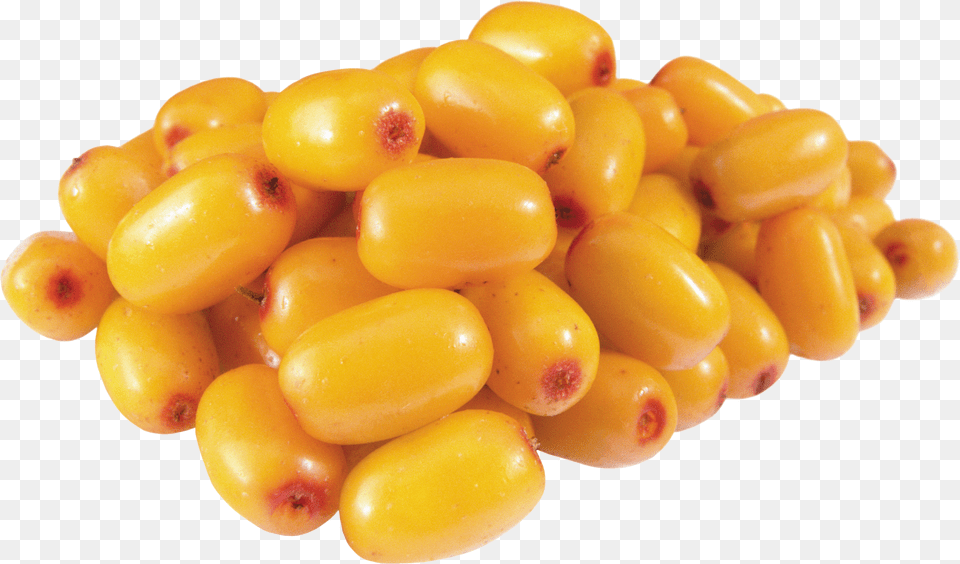 Sea Buckthorn Free Png