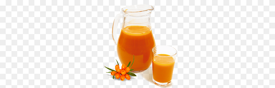 Sea Buckthorn, Beverage, Juice, Orange Juice, Food Png Image