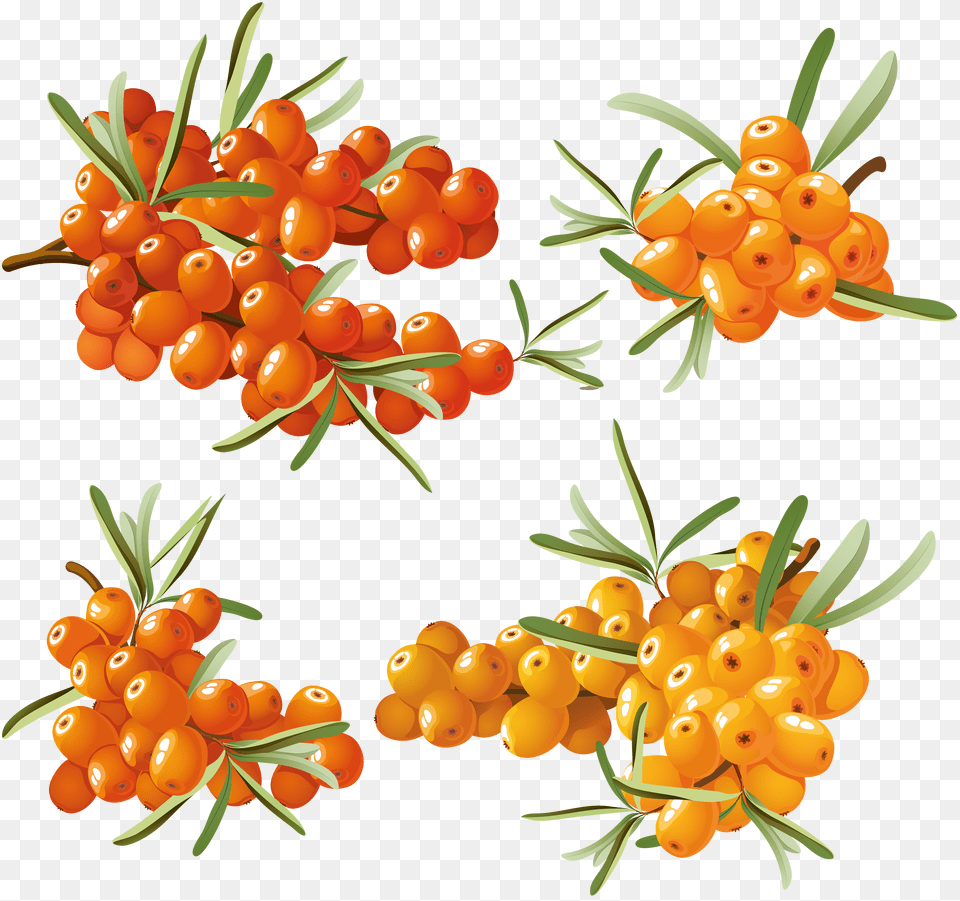 Sea Buckthorn, Device, Grass, Lawn, Lawn Mower Free Png