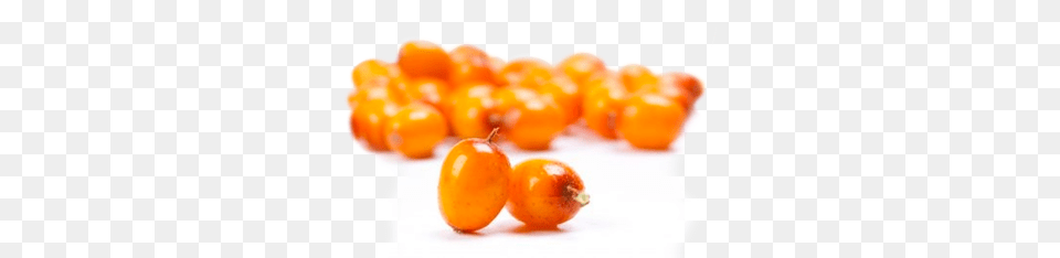 Sea Buckthorn, Food, Fruit, Plant, Produce Free Png Download