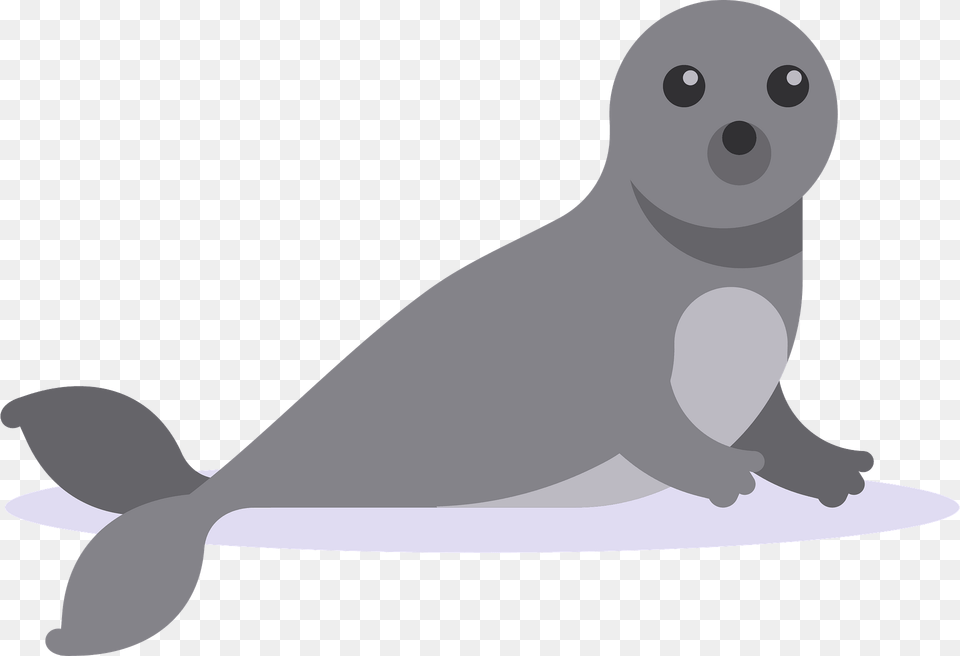 Sea Calf Clipart, Animal, Mammal, Sea Life, Seal Free Png