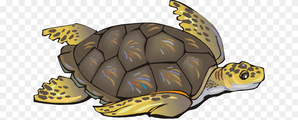 Sea Clip Art Protect Sea Turtles Shower Curtain, Animal, Reptile, Sea Life, Tortoise Png Image
