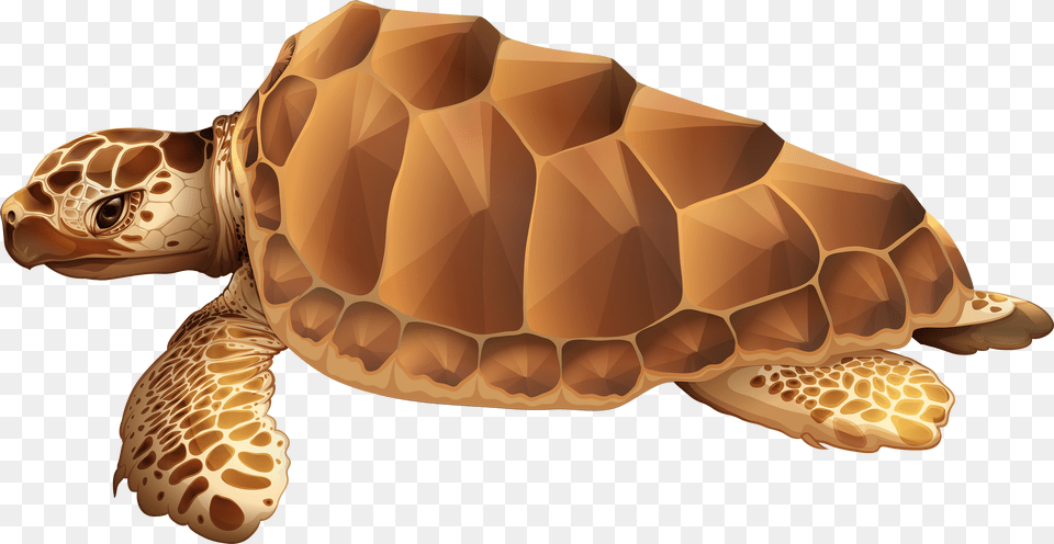 Sea Clip Art Sea Turtle Clipart Free Png