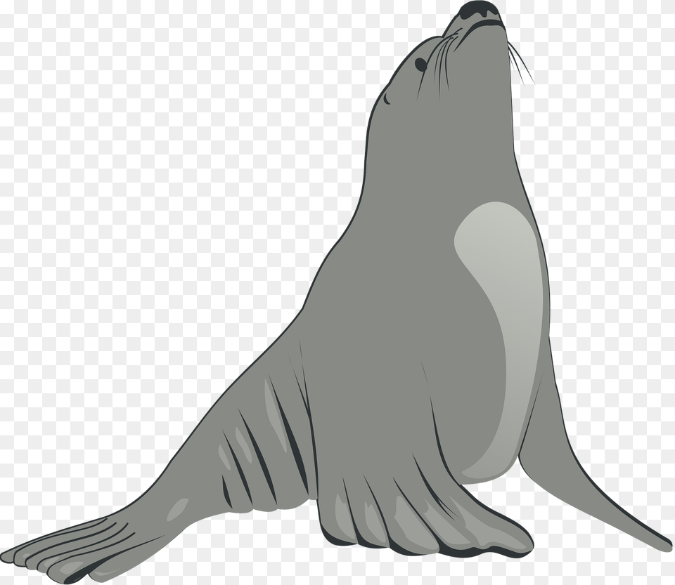 Sea Clipart, Animal, Mammal, Sea Life, Sea Lion Png