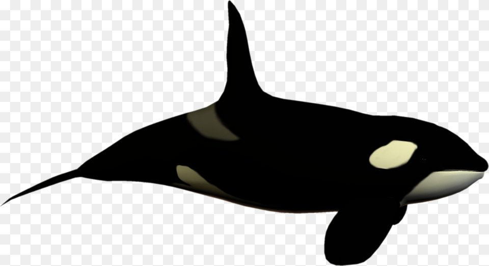 Sea Clipart Sea World, Animal, Mammal, Orca, Sea Life Png