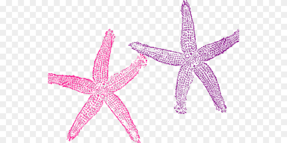 Sea Clipart Starfish Transparent Background Mermaid Clipart, Purple, Animal, Sea Life, Invertebrate Png