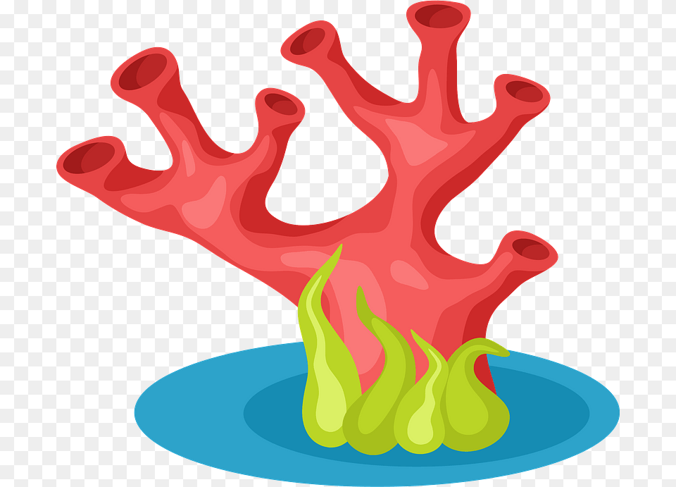 Sea Corals Clipart Illustration, Art, Fire, Flame, Smoke Pipe Free Png