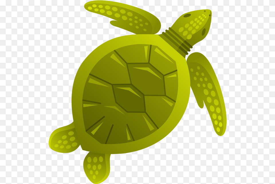 Sea Creatures Design, Animal, Reptile, Sea Life, Sea Turtle Png Image