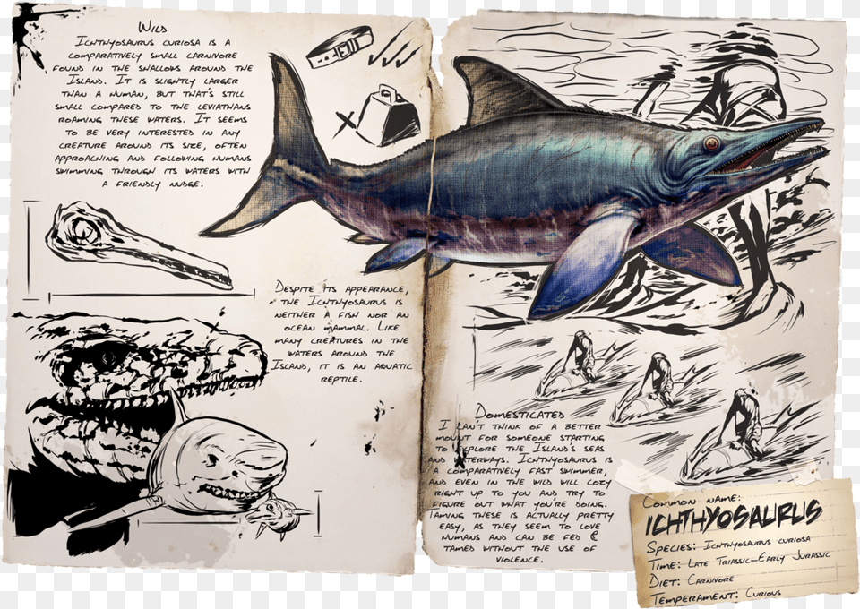 Sea Creatures In Ark, Animal, Sea Life, Fish, Book Png