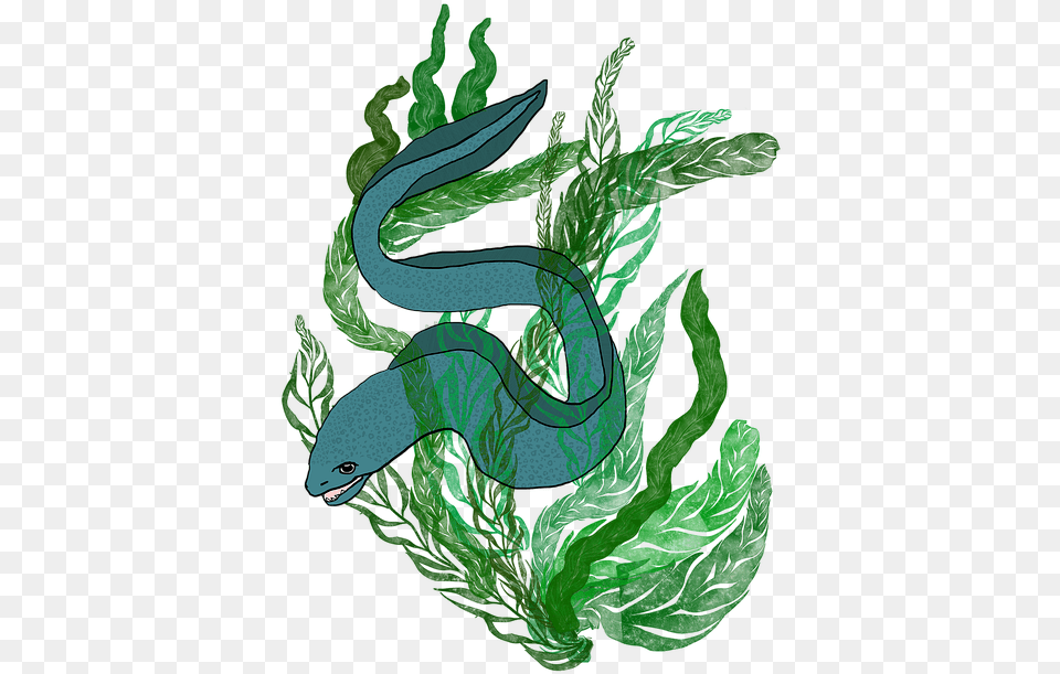 Sea Eel Moray Serpent, Green, Plant, Animal Png