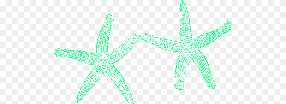 Sea Foam Starfish Clip Art, Animal, Invertebrate, Sea Life Png Image