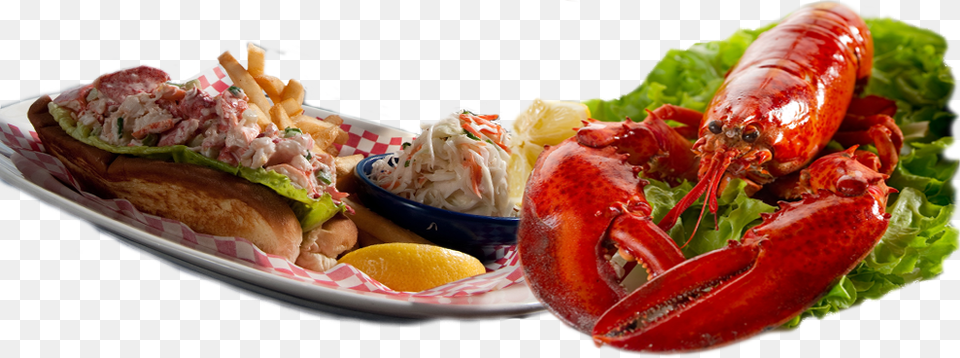 Sea Food, Animal, Invertebrate, Lobster, Sea Life Png Image