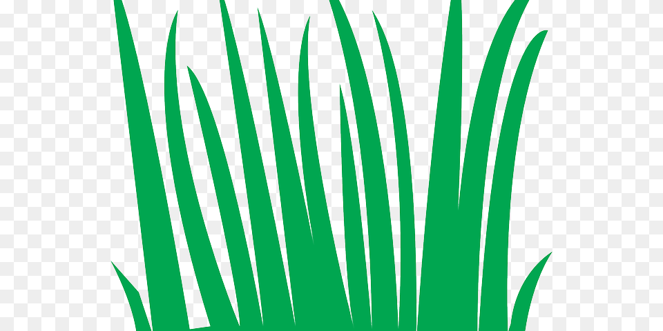 Sea Grass Clipart Ocean Plant, Green, Aloe Free Transparent Png
