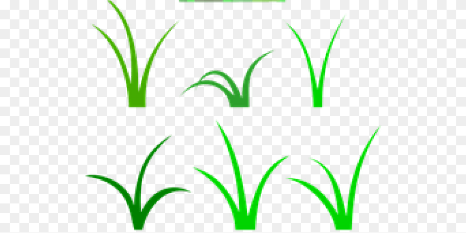 Sea Grass Clipart Wild Grass Clip Art, Green, Plant, Animal, Kangaroo Free Png