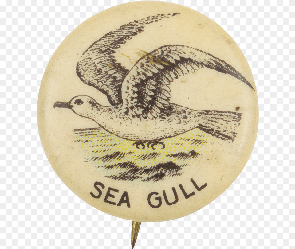 Sea Gull Advertising Button Museum Golden Eagle, Badge, Logo, Symbol, Animal Free Png