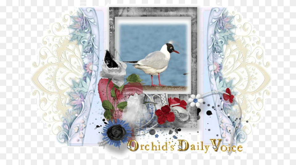 Sea Gull And March Of Ducks Etc Craft, Art, Collage, Envelope, Greeting Card Png