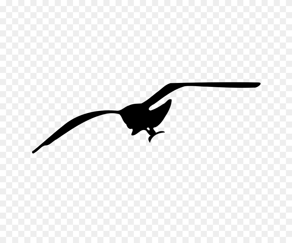 Sea Gull Clip Art, Gray Free Png Download