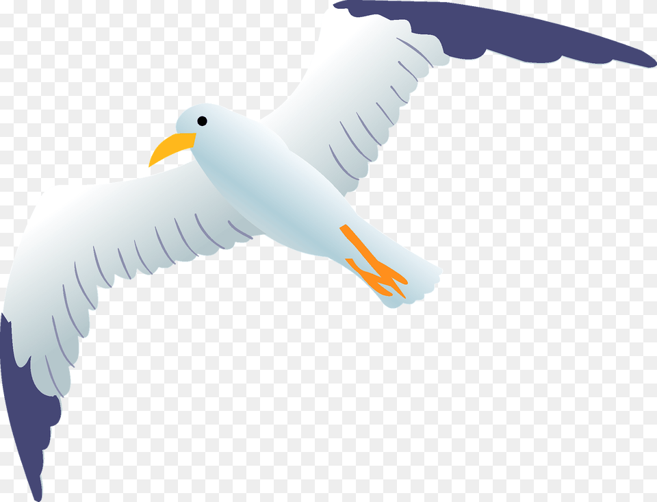 Sea Gull Clipart, Animal, Bird, Flying, Seagull Free Transparent Png