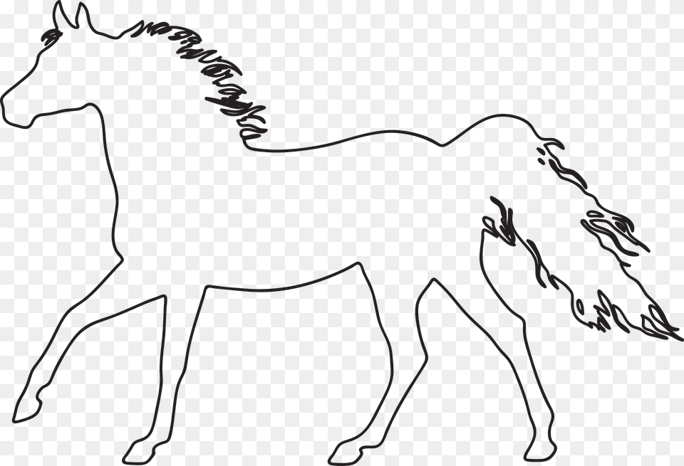 Sea Horse Outline 9 Buy Clip Art Dibujo De Un Caballo Para Colorear, Animal, Colt Horse, Mammal Free Png Download