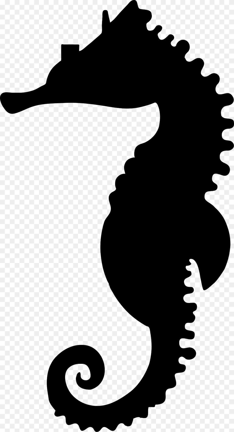 Sea Horse Silhouette, Animal, Mammal, Sea Life, Seahorse Png