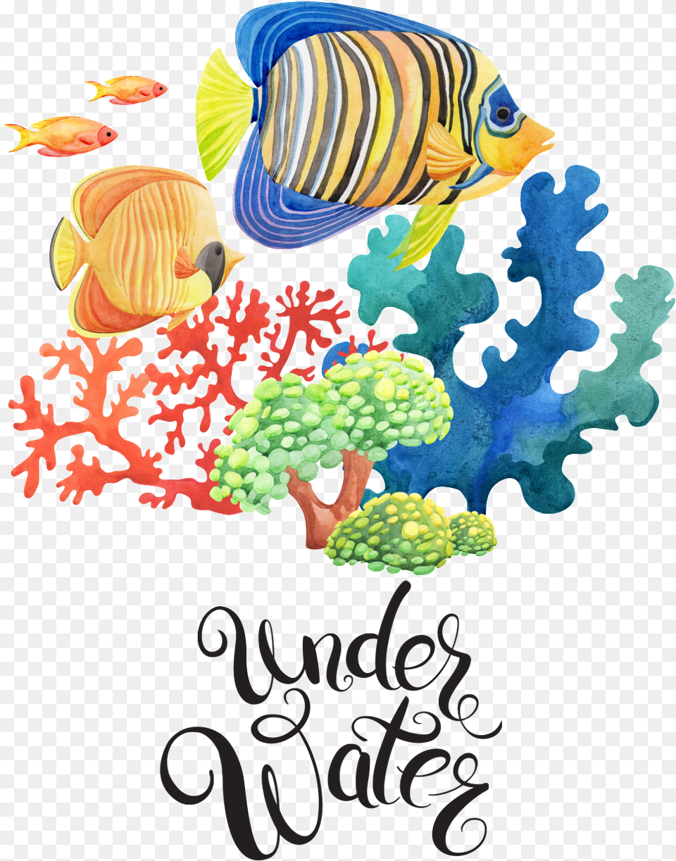 Sea June 2019 Calendar Printable Portrait, Animal, Sea Life, Fish, Reef Free Transparent Png