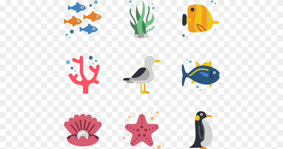 Sea Life, Animal, Bird, Penguin, Sea Life Png